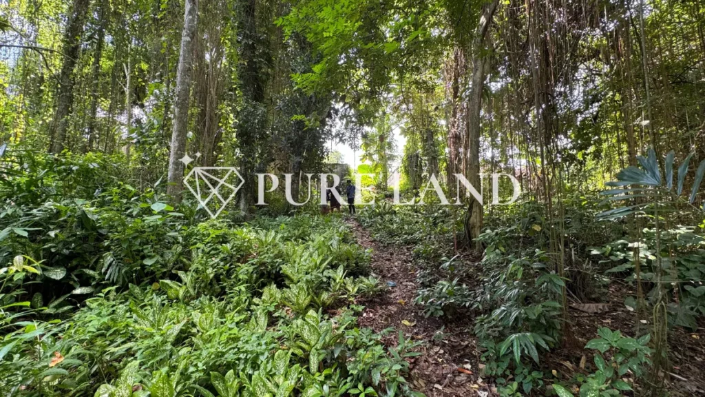 17Are Riverside Land in Ubud