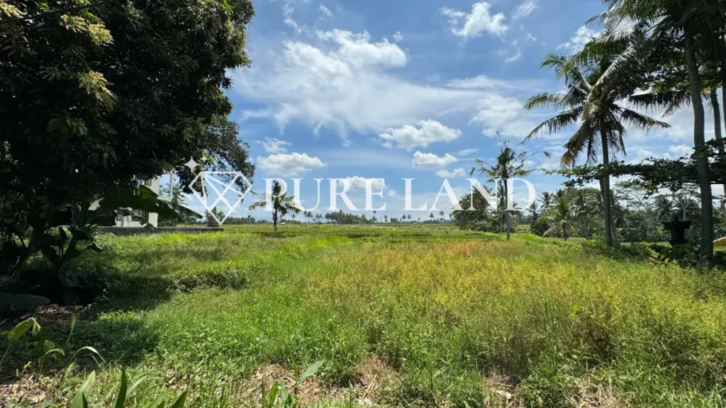 9Are Ricefield View Land in Kemenuh