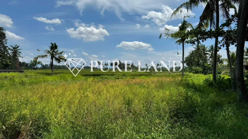 9Are Ricefield View Land in Kemenuh