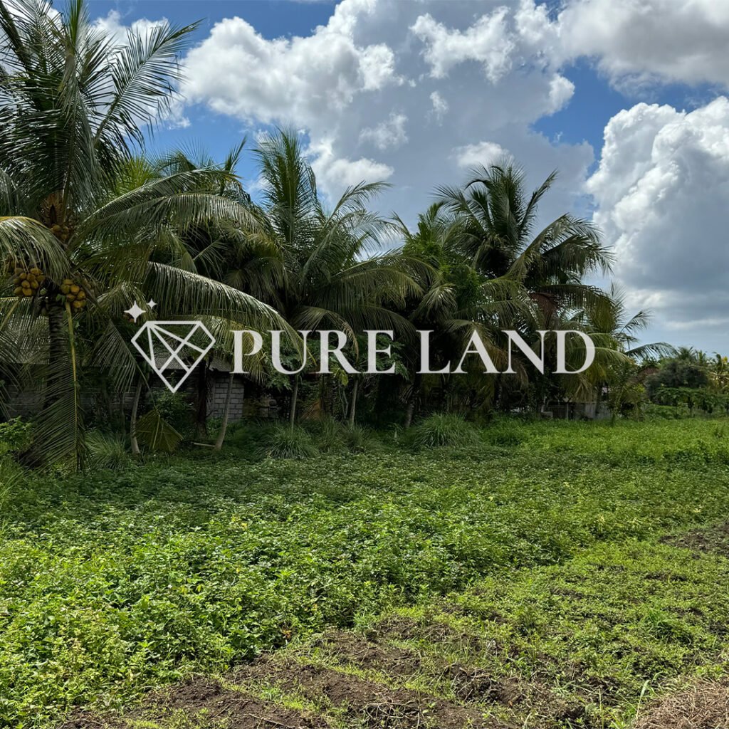 Pristine Land in Bitera Ubud