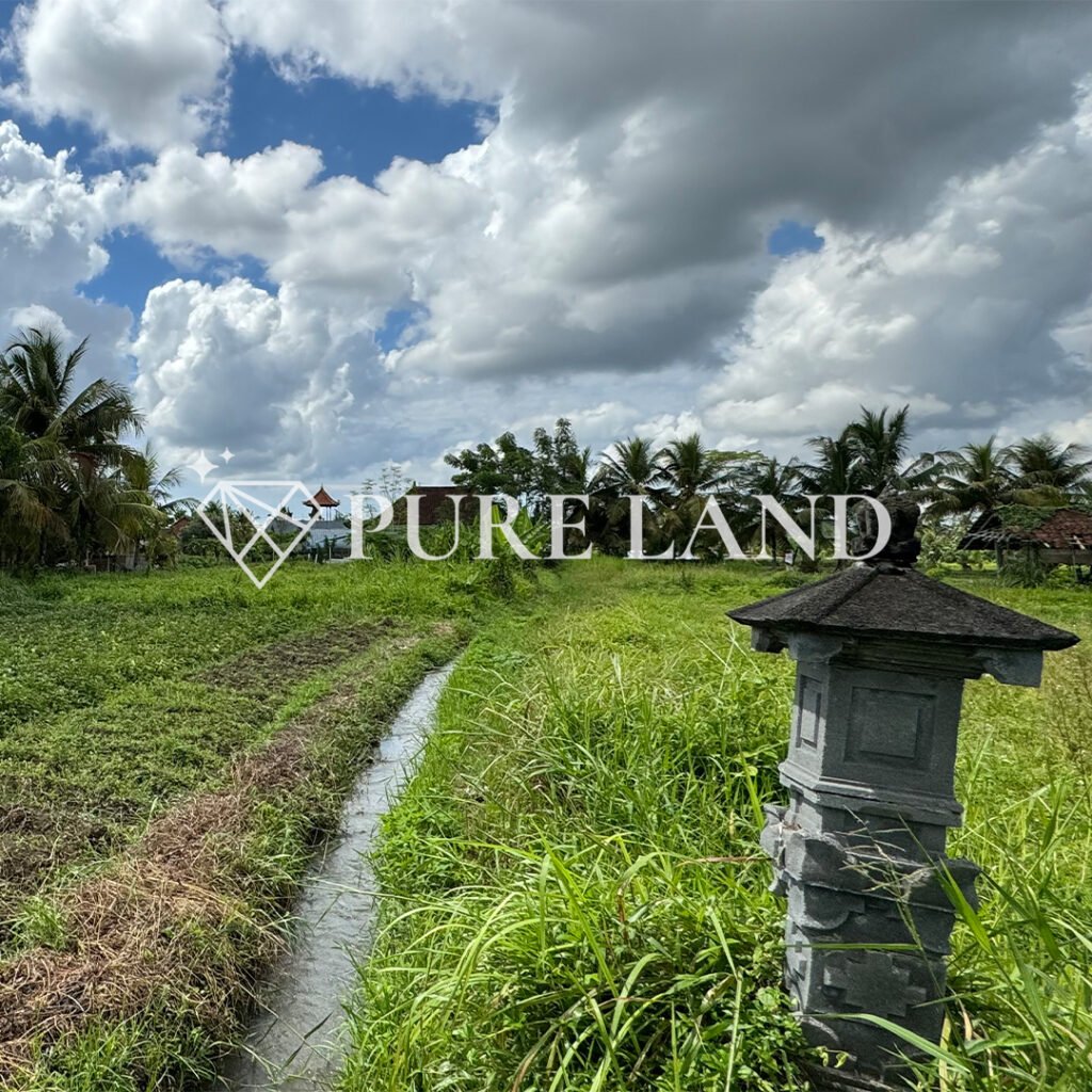 Pristine Land in Bitera Ubud