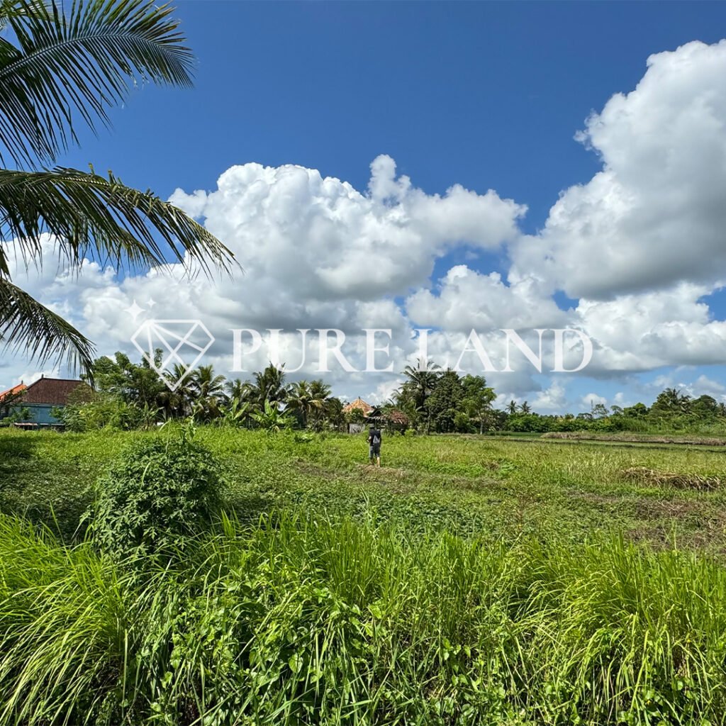 Pristine Land in Bitera Ubud