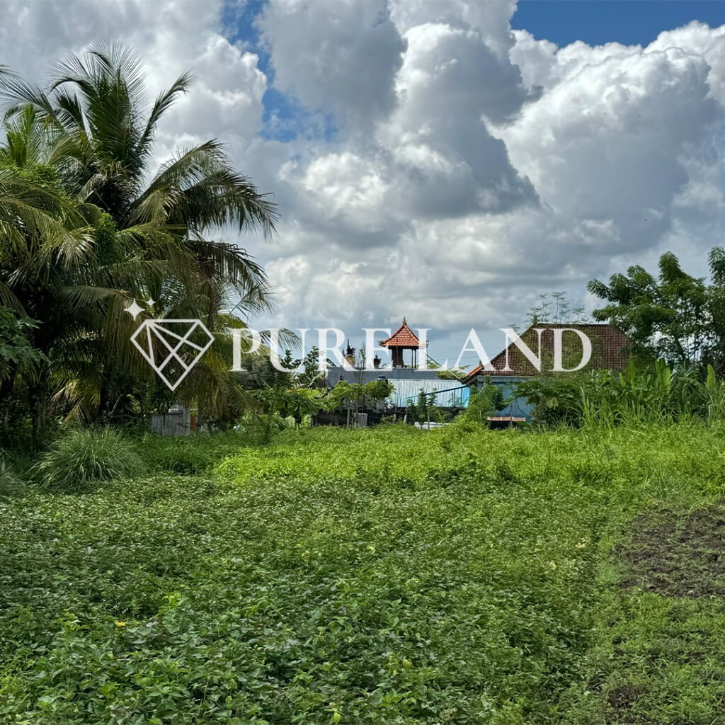 Pristine Land in Bitera Ubud