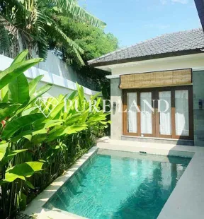 3BR Brand New Villa in Kerobokan