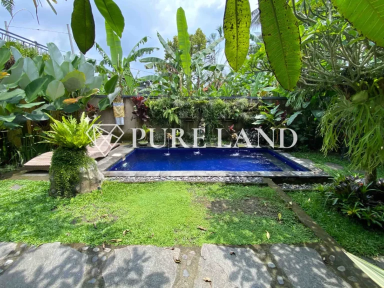 4BR Best Place Villa in Payangan