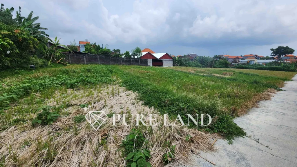 24 Are Pristine Land in Kerobokan