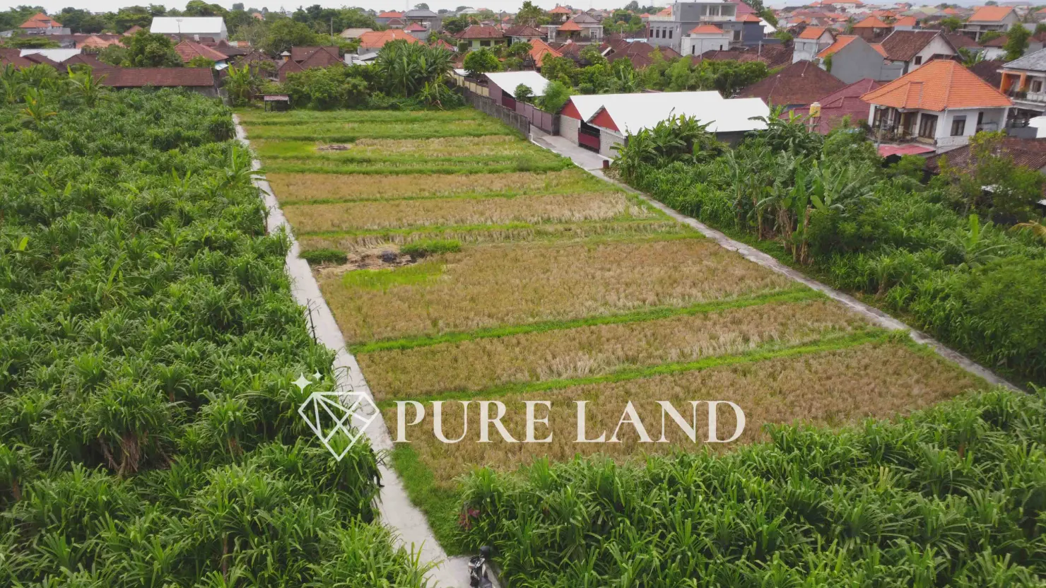 24 Are Pristine Land in Kerobokan