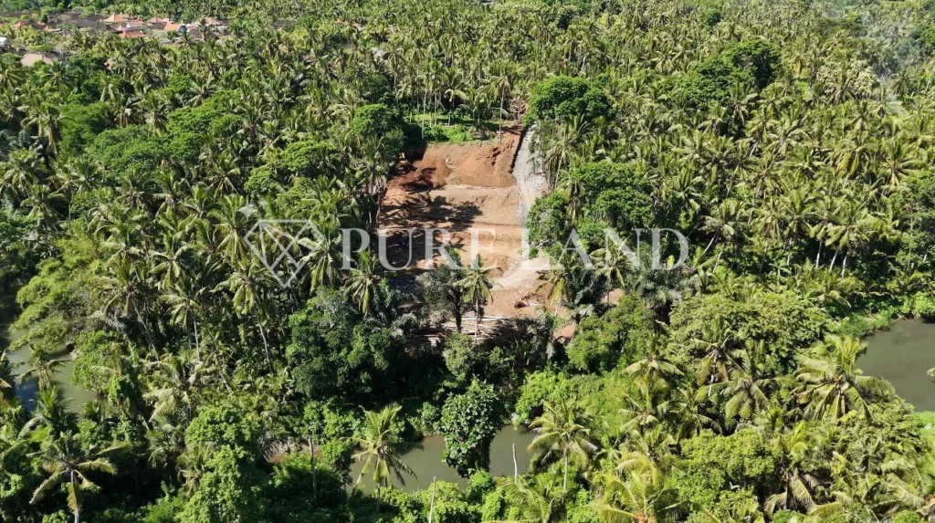 FL10005 Subdivision Kavling Land in Saba - Gianyar