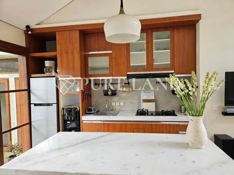 FB01003 1+1BR Cozy House in Canggu