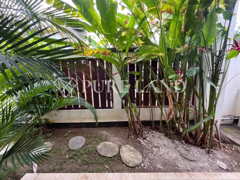 LR02010 3BR Spacious House in Kerobokan