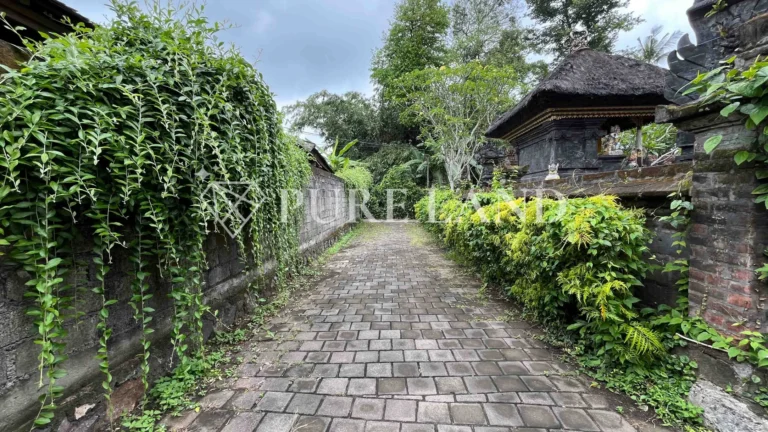 LB18001 2BR Enchanting Villa in Kedungu Beach