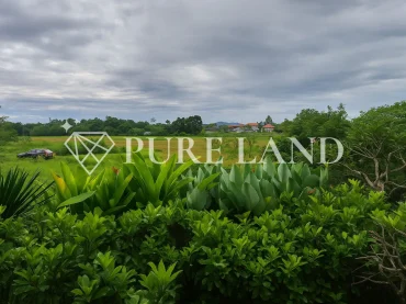 FP03003 4BR Freehold Rice-field view Villa in Sanur