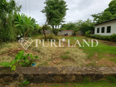 FP03003 4BR Freehold Rice-field view Villa in Sanur