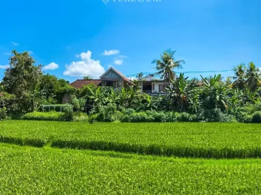 41Are Tourism Zoned Land in Ubud