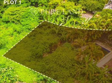 8,3 Are Pristine Land in Kerobokan