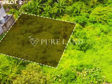 8,3 Are Pristine Land in Kerobokan