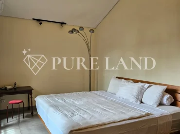 FB01003 1+1BR Cozy House in Canggu
