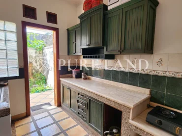 FB09004 5BR Luxurious House in North Sanur