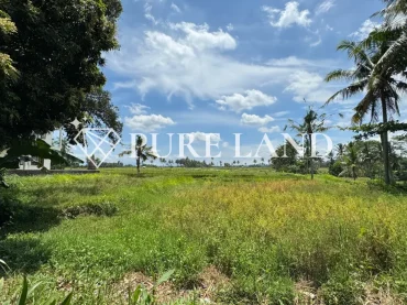 9Are Ricefield View Land in Kemenuh