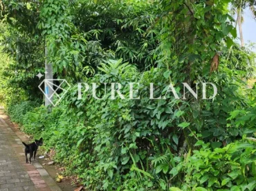 Super Cheap Land in Abiansemal