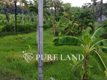 40 Are Beachfront Land in Karangasem