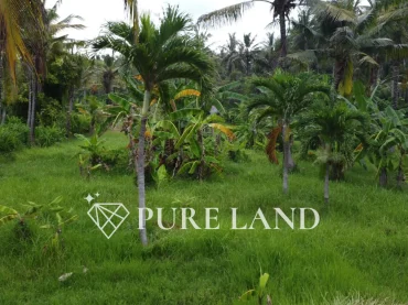 40 Are Beachfront Land in Karangasem