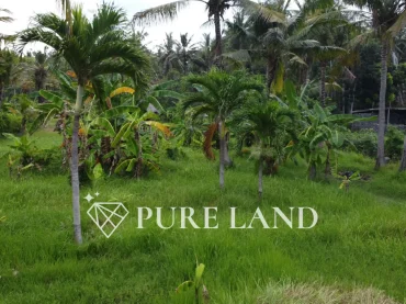 40 Are Beachfront Land in Karangasem