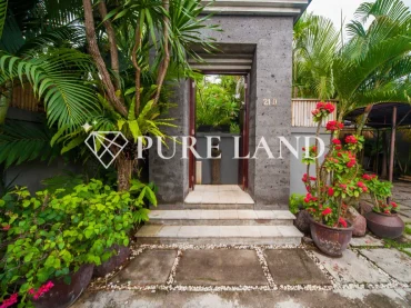 3BR Great Investment Villa in Central Canggu