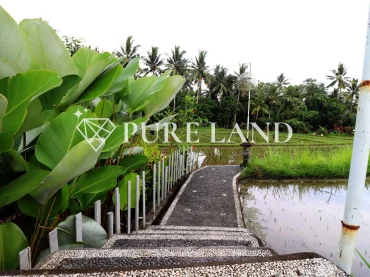 3BR Modern Villa with View in Ubud