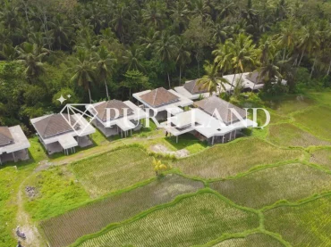 2-3BR Exotic Tropical Villa in Ubud