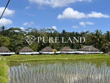 2-3BR Exotic Tropical Villa in Ubud