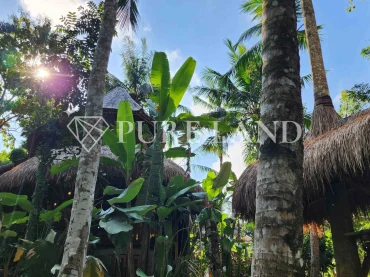 LB05021 1BR Spacious Riverfront Bamboo Villa in Ubud