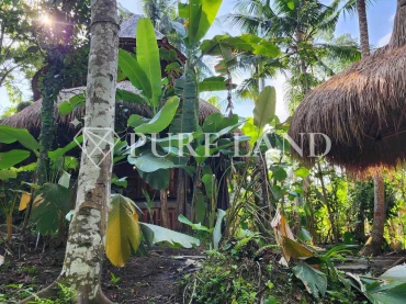 LB05021 1BR Spacious Riverfront Bamboo Villa in Ubud