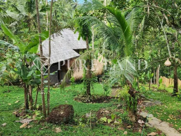LB05021 1BR Spacious Riverfront Bamboo Villa in Ubud