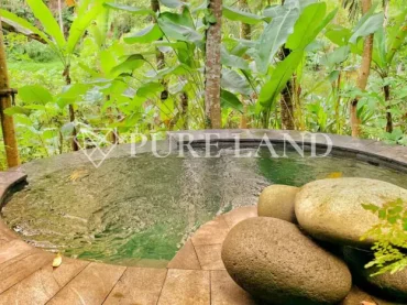 LB05021 1BR Spacious Riverfront Bamboo Villa in Ubud