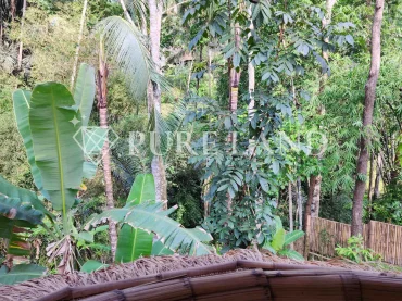 LB05021 1BR Spacious Riverfront Bamboo Villa in Ubud