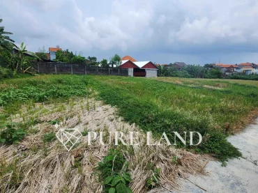 24 Are Pristine Land in Kerobokan