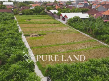 24 Are Pristine Land in Kerobokan