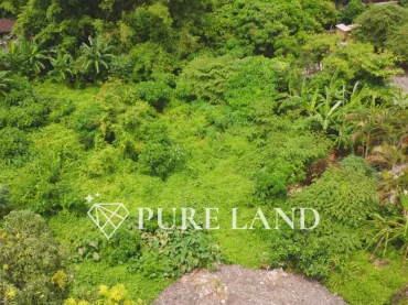 8,3 Are Pristine Land in Kerobokan