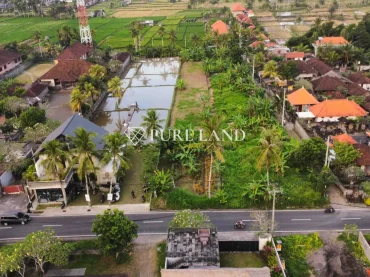 39Are Main Street Land In Ubud