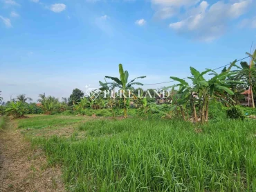 39Are Main Street Land In Ubud